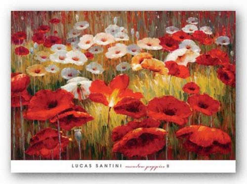Meadow Poppies II by Lucas Santini