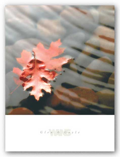 Leaves in Stream by Glen and Gayle Wans
