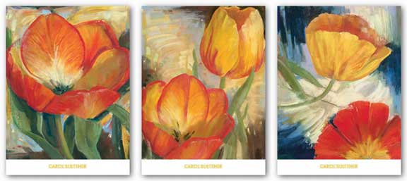 Summer Tulips Set by Carol Buettner