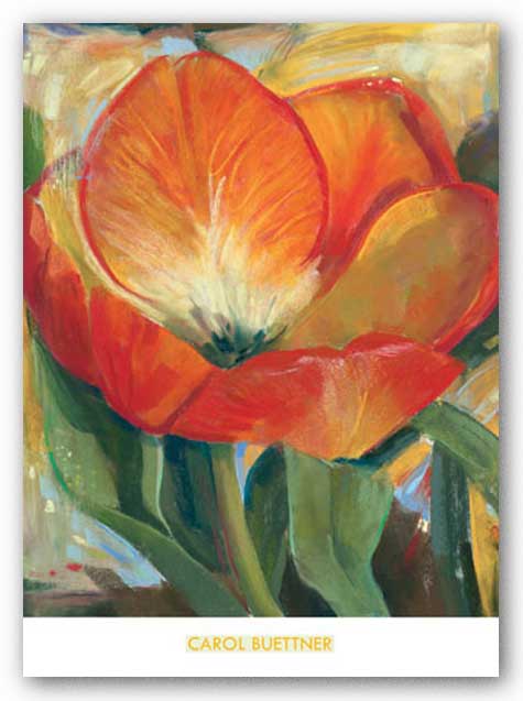 Summer Tulips I by Carol Buettner