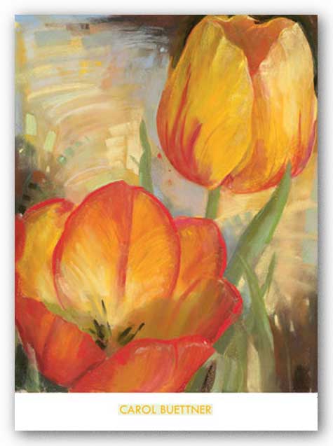 Summer Tulips II by Carol Buettner