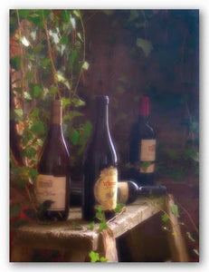 Wine Cellar II by Donna Geissler