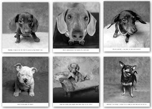 Dogs Set (Six Prints) by Ginger DeLater
