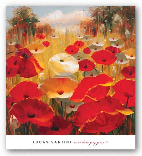 Meadow Poppies III by Lucas Santini