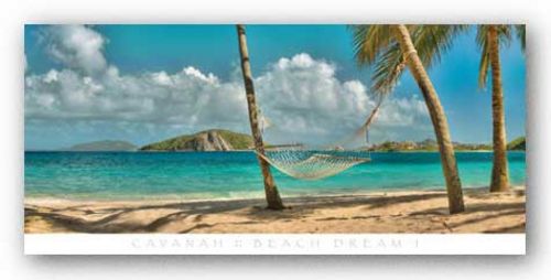 Beach Dream I by Doug Cavanah