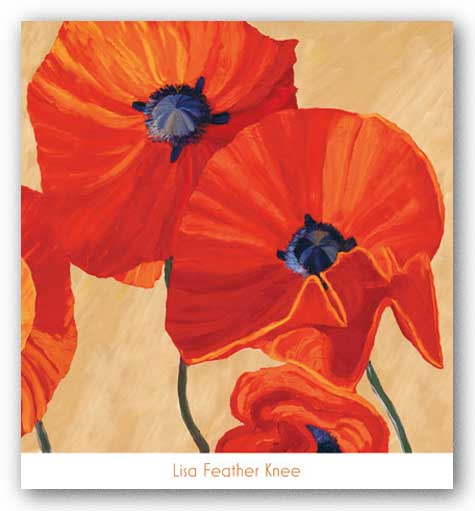 Oriental Poppy Right by Lisa Feather Knee