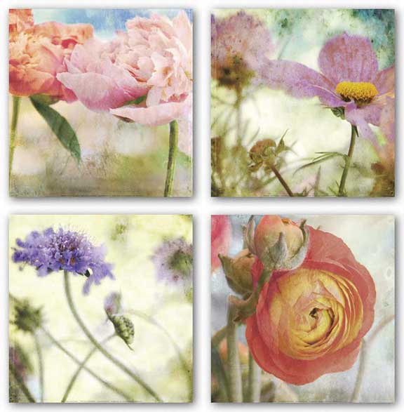Floral Set (Four Prints) by Donna Geissler