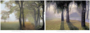 Misty Bridge and Path Set by Steven Mitchell