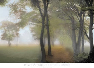 Misty Path by Steven Mitchell
