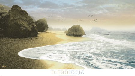 Bodega Beach I by Diego Ceja