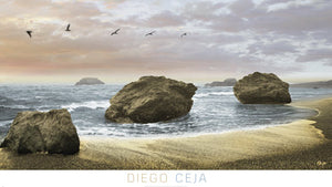 Bodega Beach II by Diego Ceja