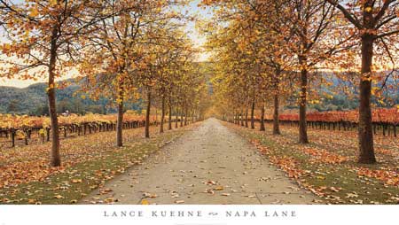 Napa Lane by Lance Kuehne