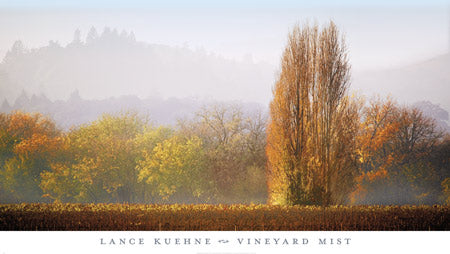 Vineyard Mist by Lance Kuehne