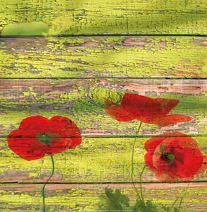Red Poppies 2 by Irena Orlov