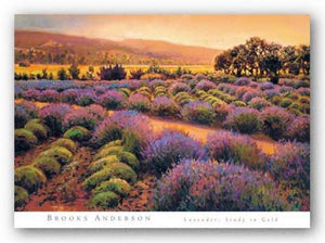 Lavender: Study In Gold by Brooks Anderson