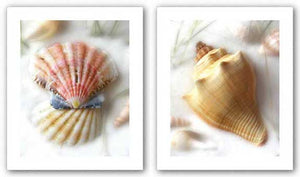 Sand and Shells II and VI Set by Donna Geissler