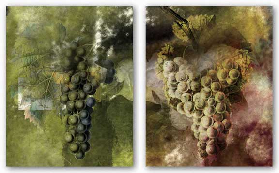 Grape Set by Miguel Paredes