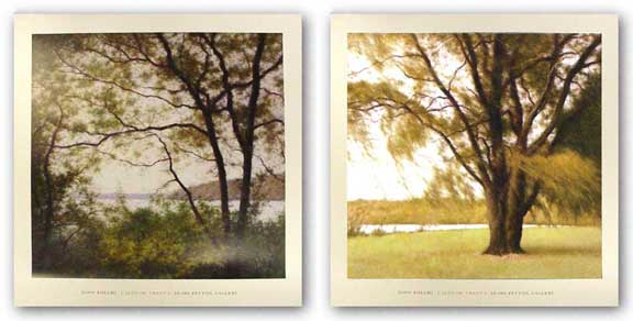 Lakeside Trees Set by John Folchi