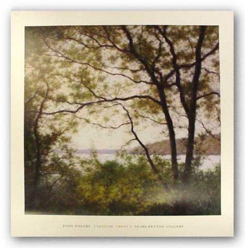 Lakeside Trees I by John Folchi