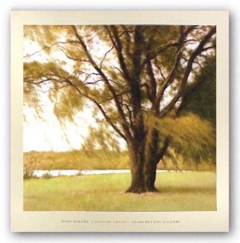 Lakeside Trees II by John Folchi