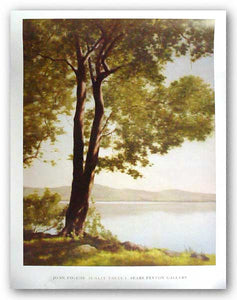 Sunlit Trees I, 2004 by John Folchi