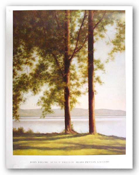 Sunlit Trees II, 2004 by John Folchi