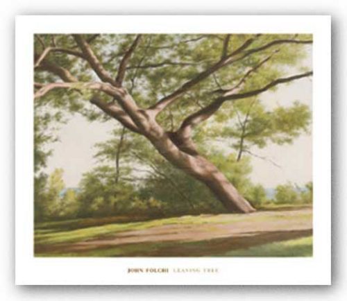 Leaning Tree, 2003 by John Folchi