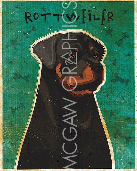 Rottweiler by John W. Golden