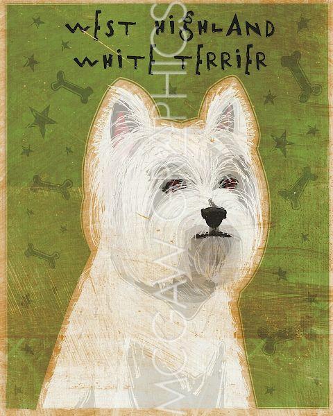 West Highland White Terrier by John W. Golden