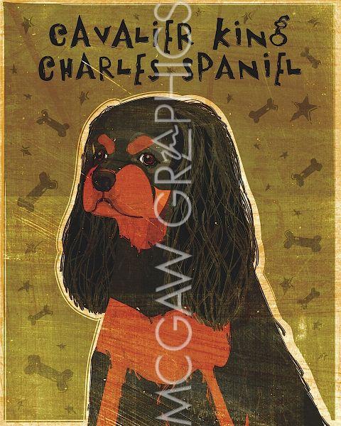 Cavalier King Charles (black and tan) by John W. Golden