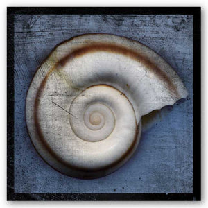 Snail by John W. Golden