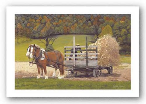 Amish Harvest by Kathleen Green