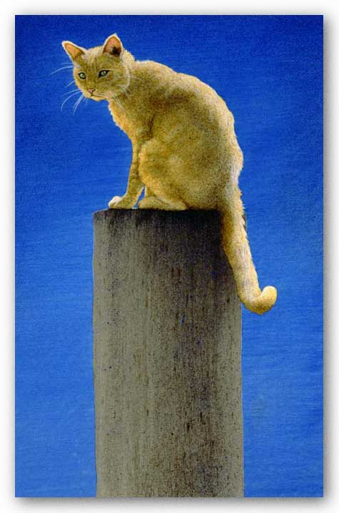 Pole Cat by Will Bullas
