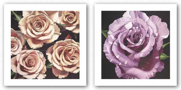 Rose and Roses Set by Elizabeth Hellman