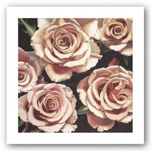 Roses by Elizabeth Hellman