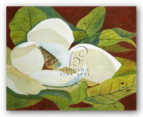 Magnolia I by George Caso