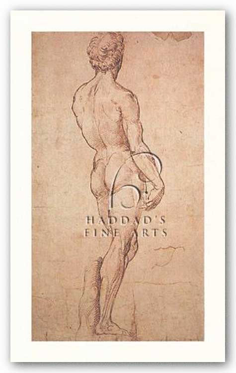 Nude Study by Sanzio Raphael (Raffaello)