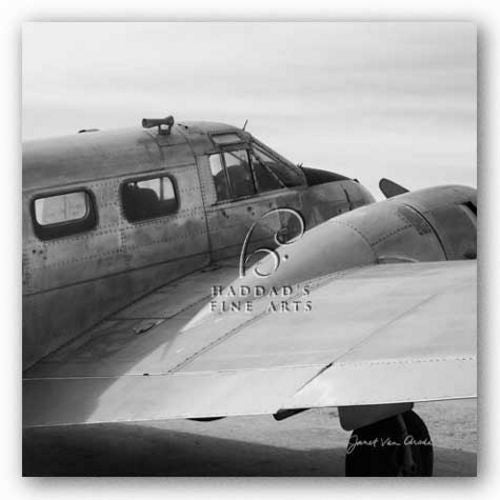 Vintage Flight II by Janet Van Arsdale