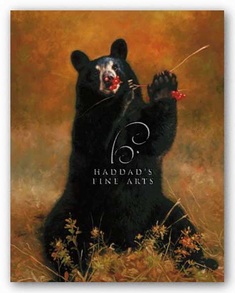 Black Bear with Berries by H Kendrick