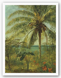 Palm Tree, Nassau by Albert Bierstadt