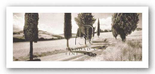 Road Through Tuscany by Michael Hudson