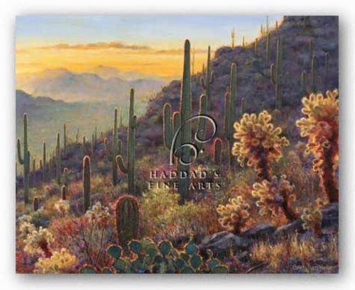 Sonoran Sunset by Gretchen Huber Warren