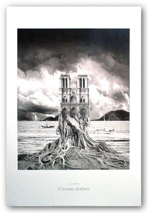 Stumped by Thomas Barbey