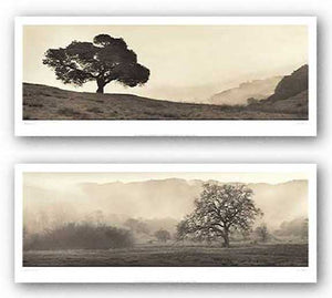 Meadow and Black Oak Tree Set by Alan Blaustein