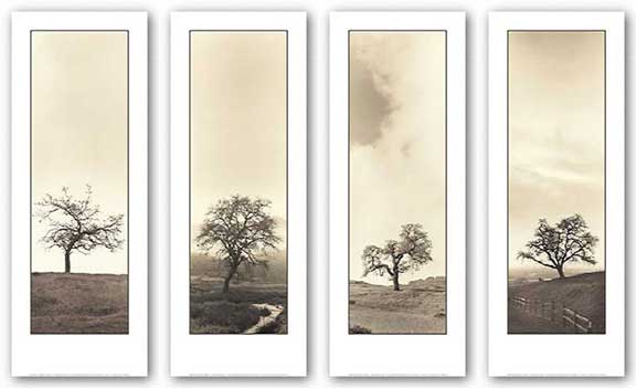 Oak Tree Set (Four Prints) by Alan Blaustein