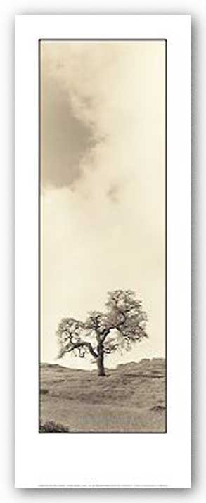 Vintage Oak Tree by Alan Blaustein