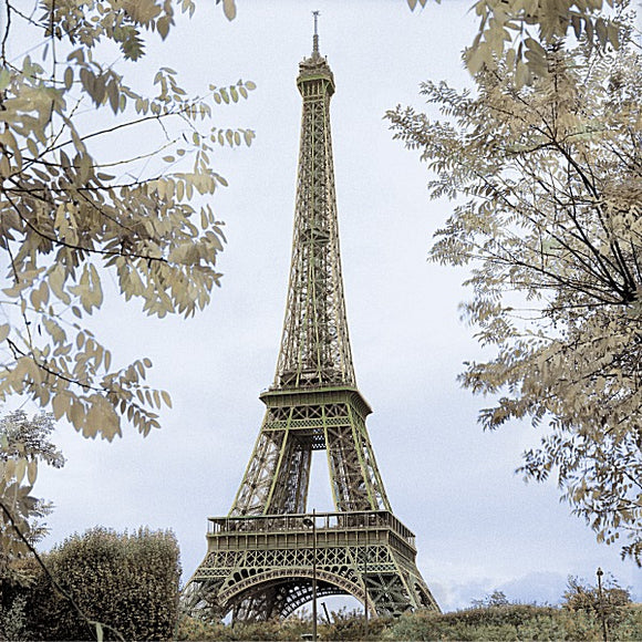 Tour Eiffel au Printemps by Alan Blaustein