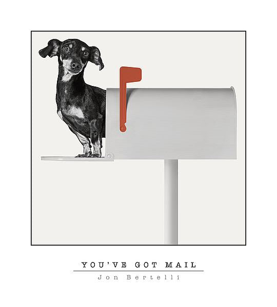 You've Got Mail by Jon Bertelli