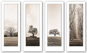 Trees Set (Four Prints) by Alan Blaustein