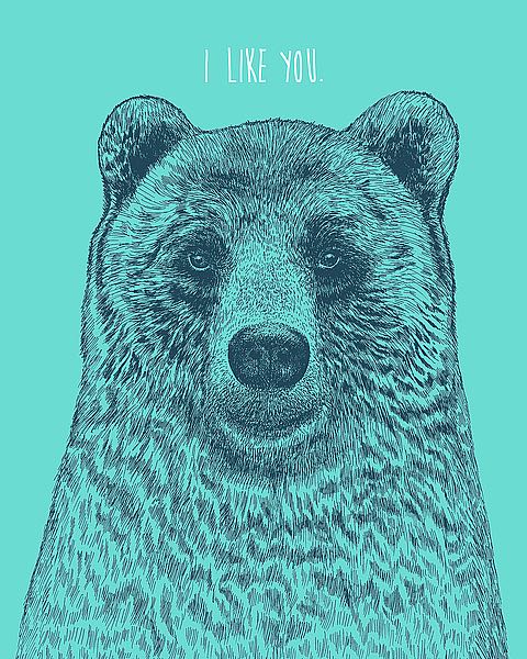 I Like You Bear by Rachel Caldwell